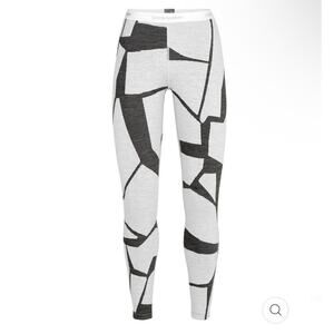 Icebreaker 250 Base Leggings